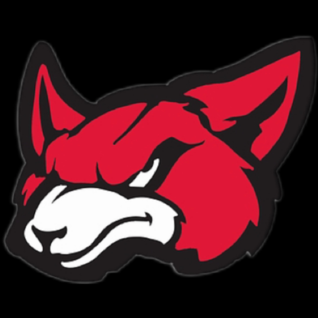 Blurrr Predators Logo